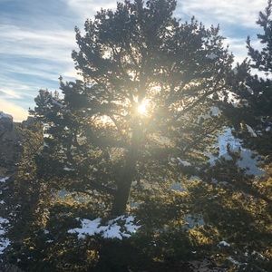 Meet your Posher, Brooks